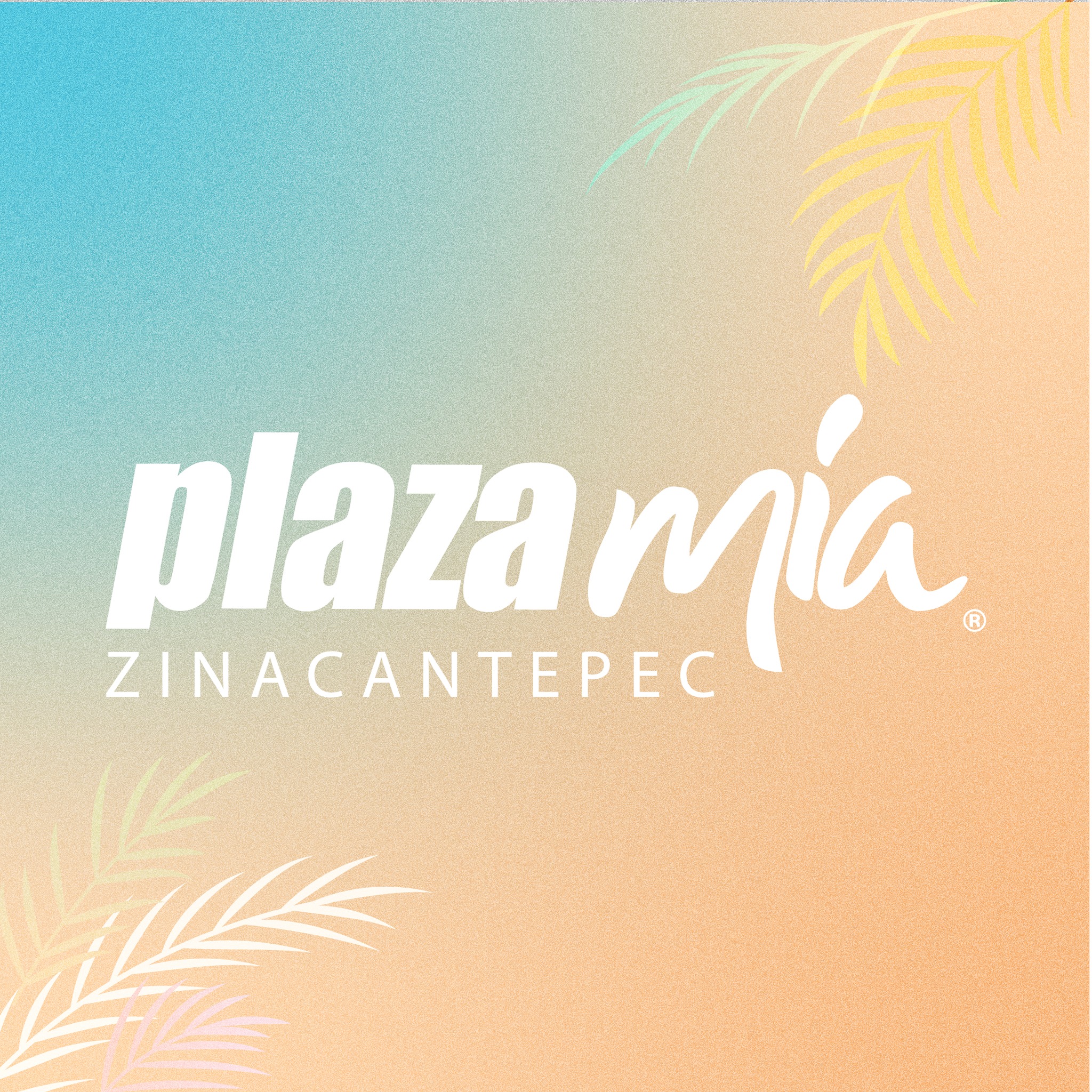 Plaza - ¿Ya probaste el delicioso sazón de Puros de Trompo en # ...