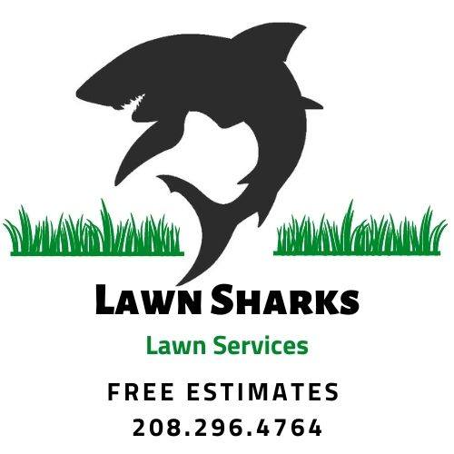 Lawn Sharks Lawn Services LLC. | Boise ID