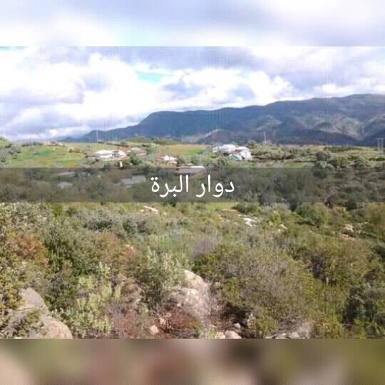 DWAR Alebra داور البرة