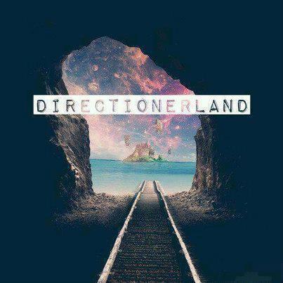 Entender Un Bromance Es de Directioner's.