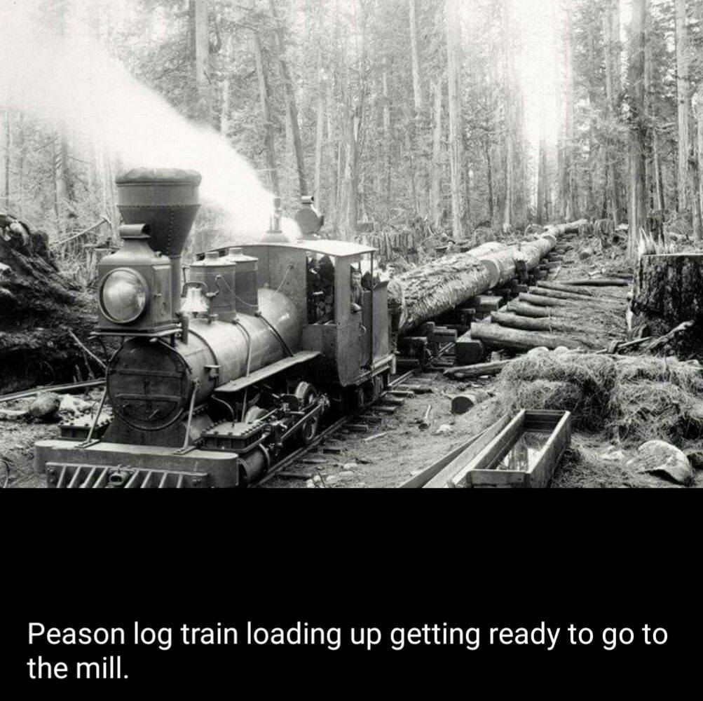 Peason, Louisiana