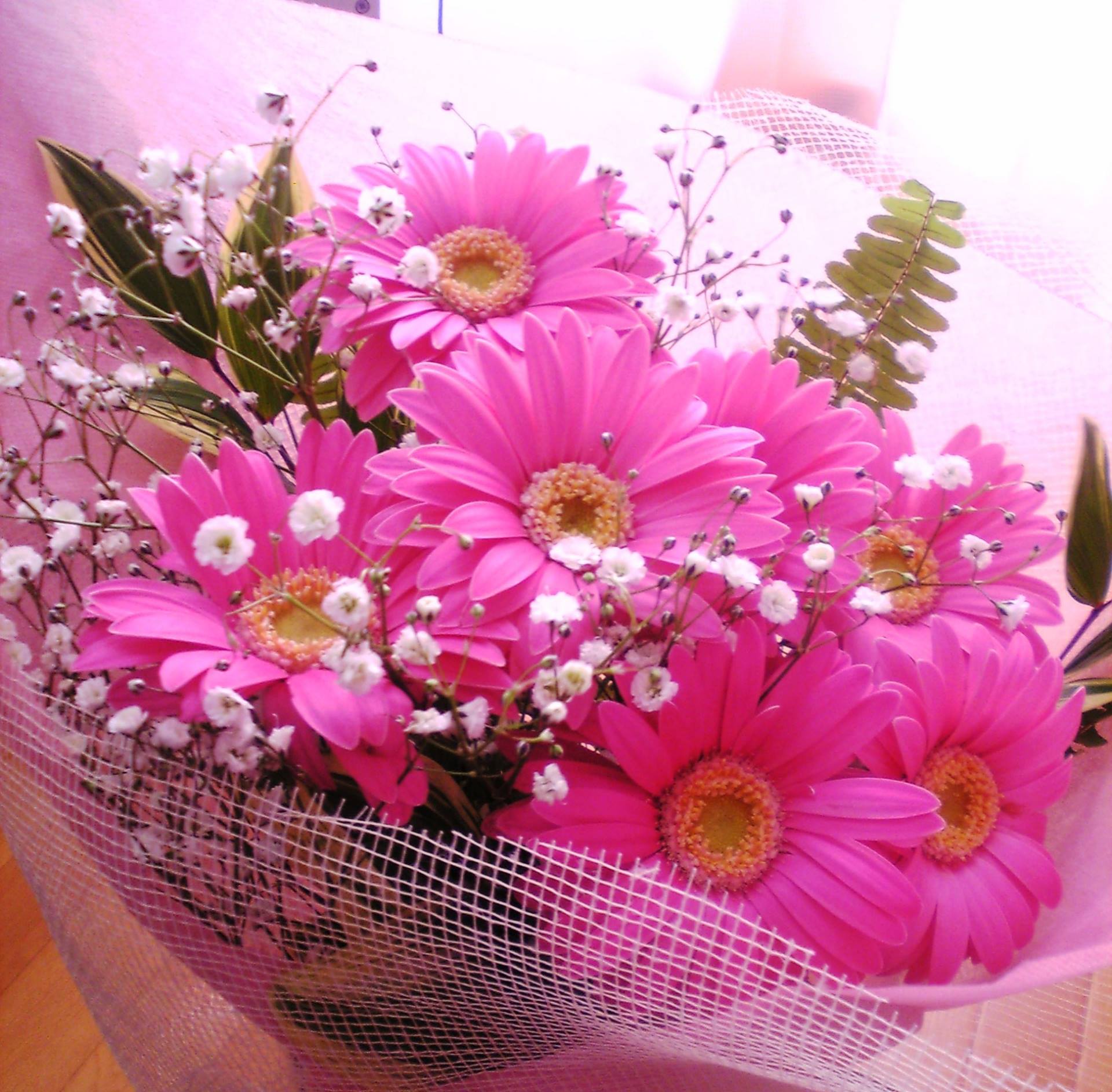 木花 mocca