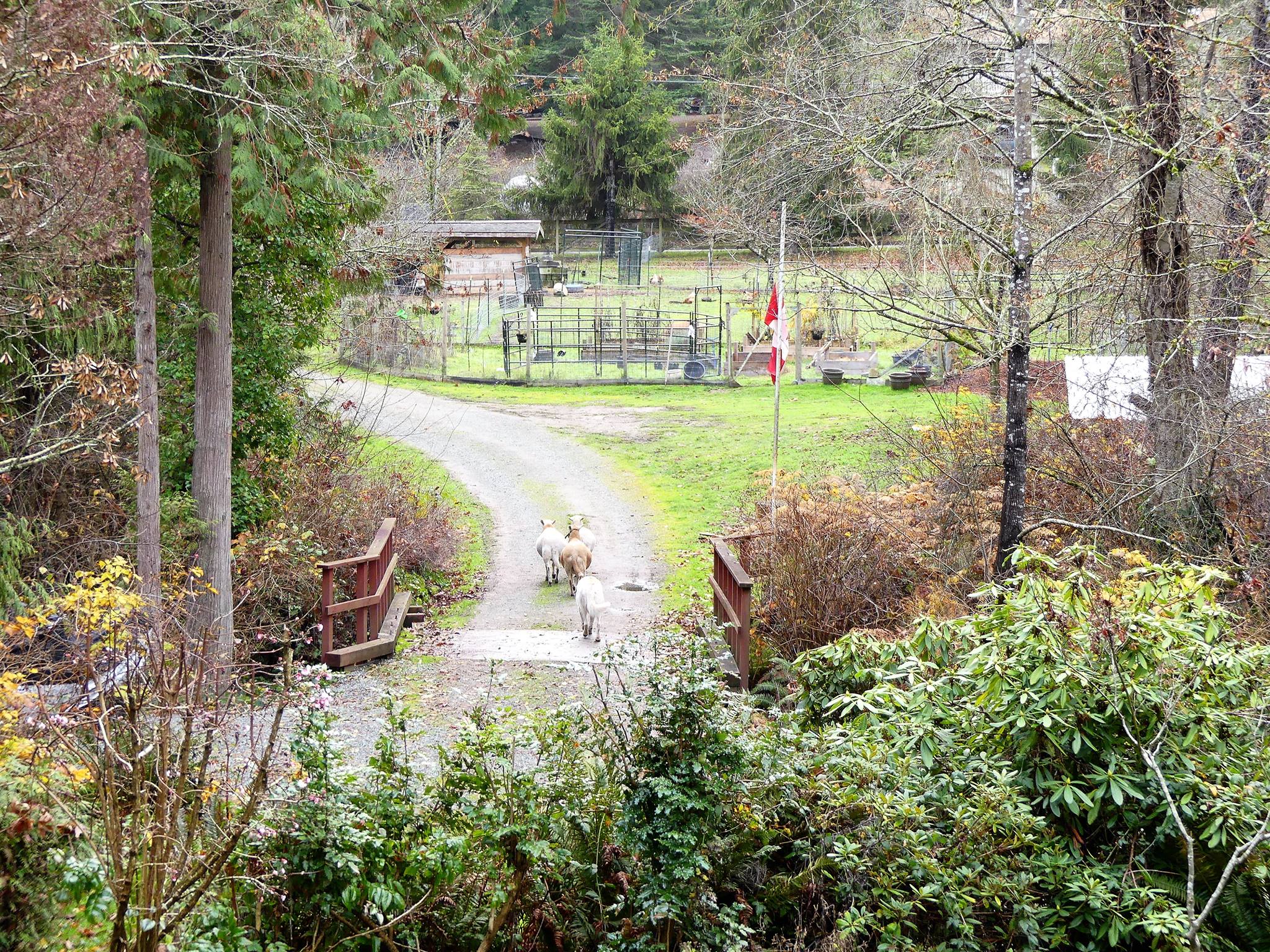 Third Trestle Farm