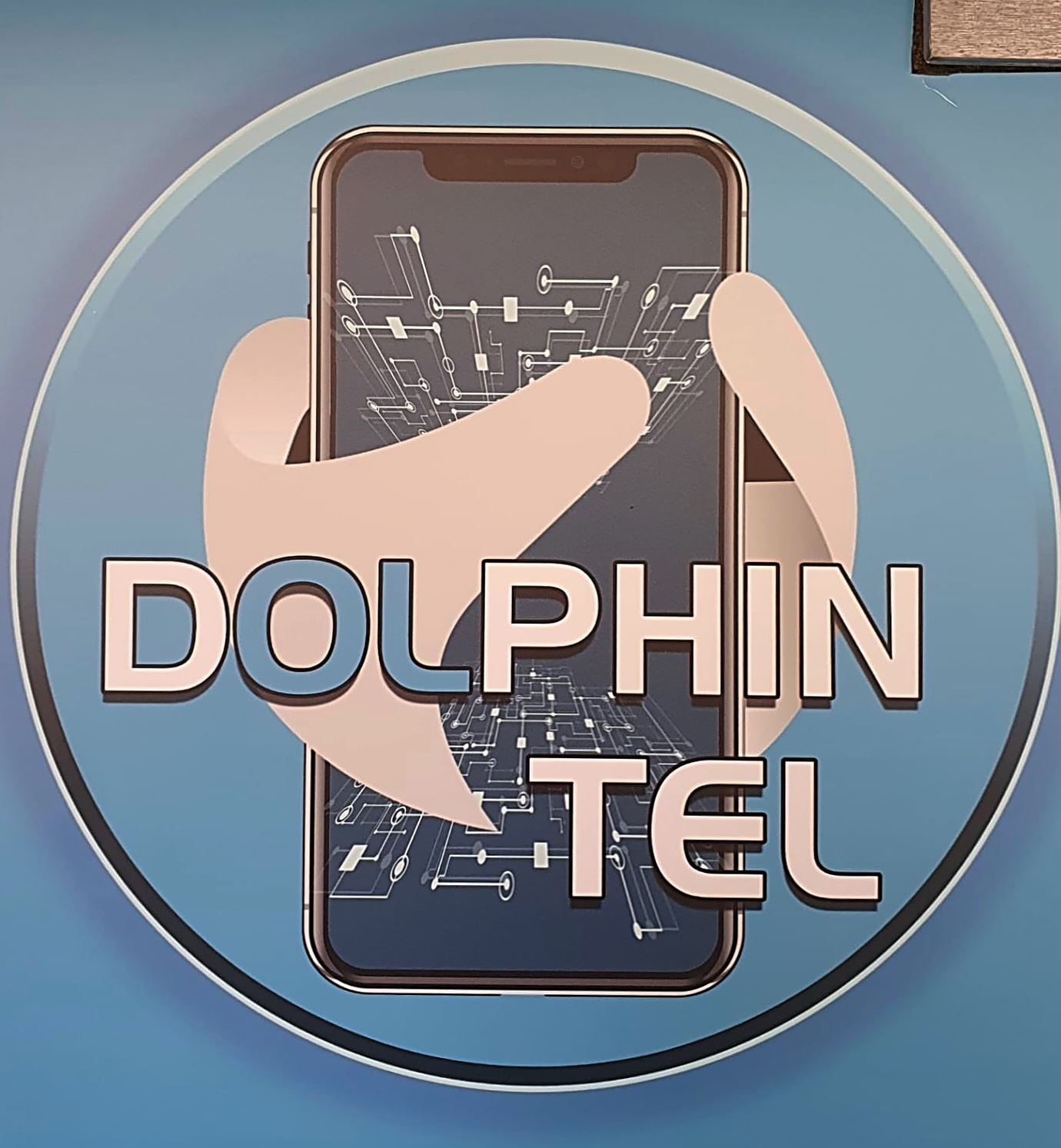 Dolphin Telecom