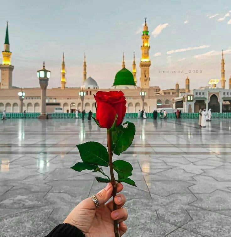 Islam of Video