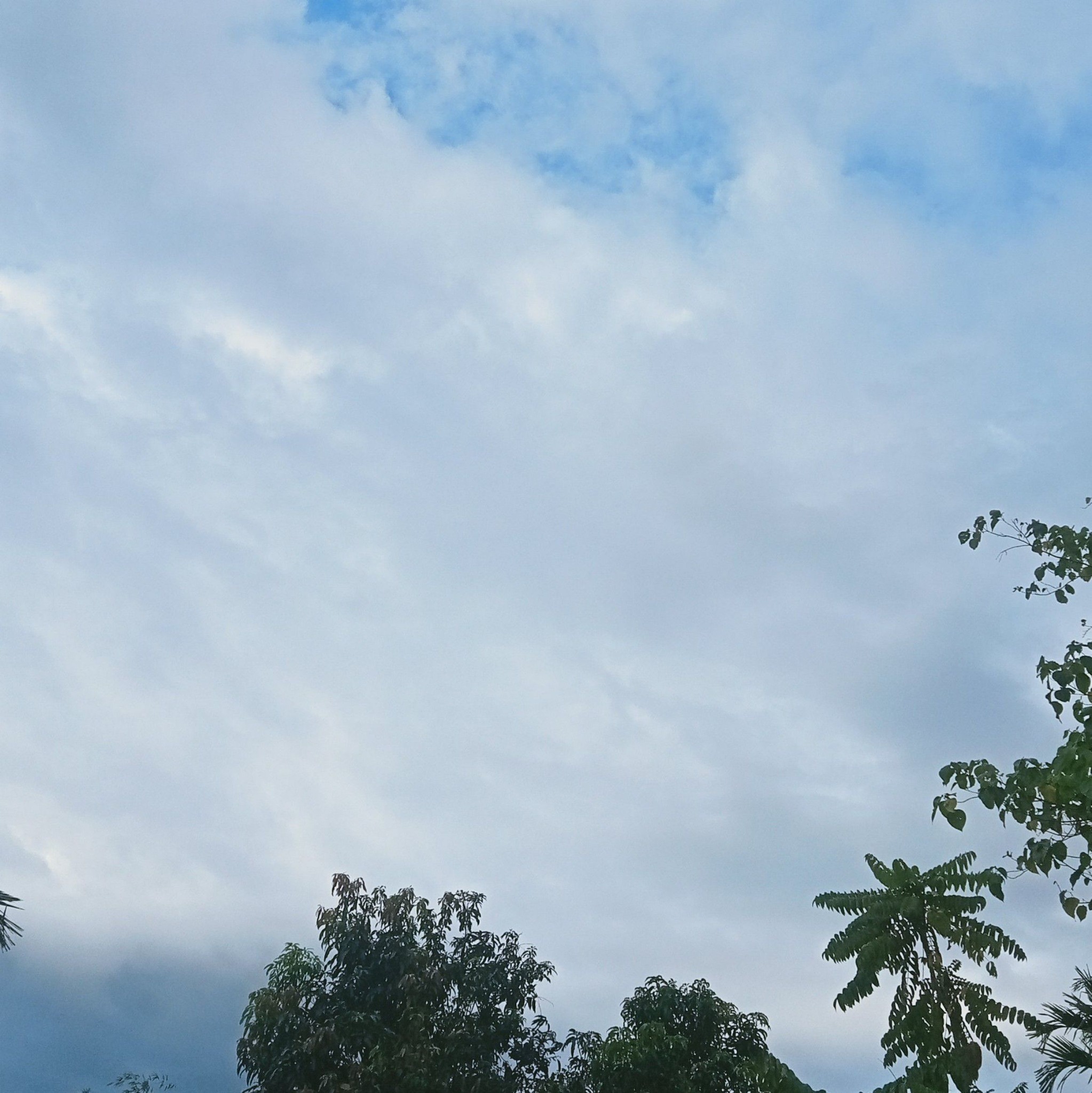 Rehena Laskar