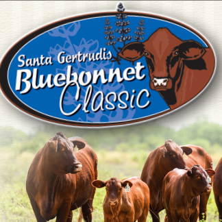 Strait Ranches | Streetman TX