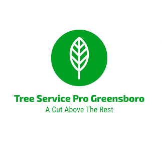 Tree Service Pro Greensboro | Greensboro NC