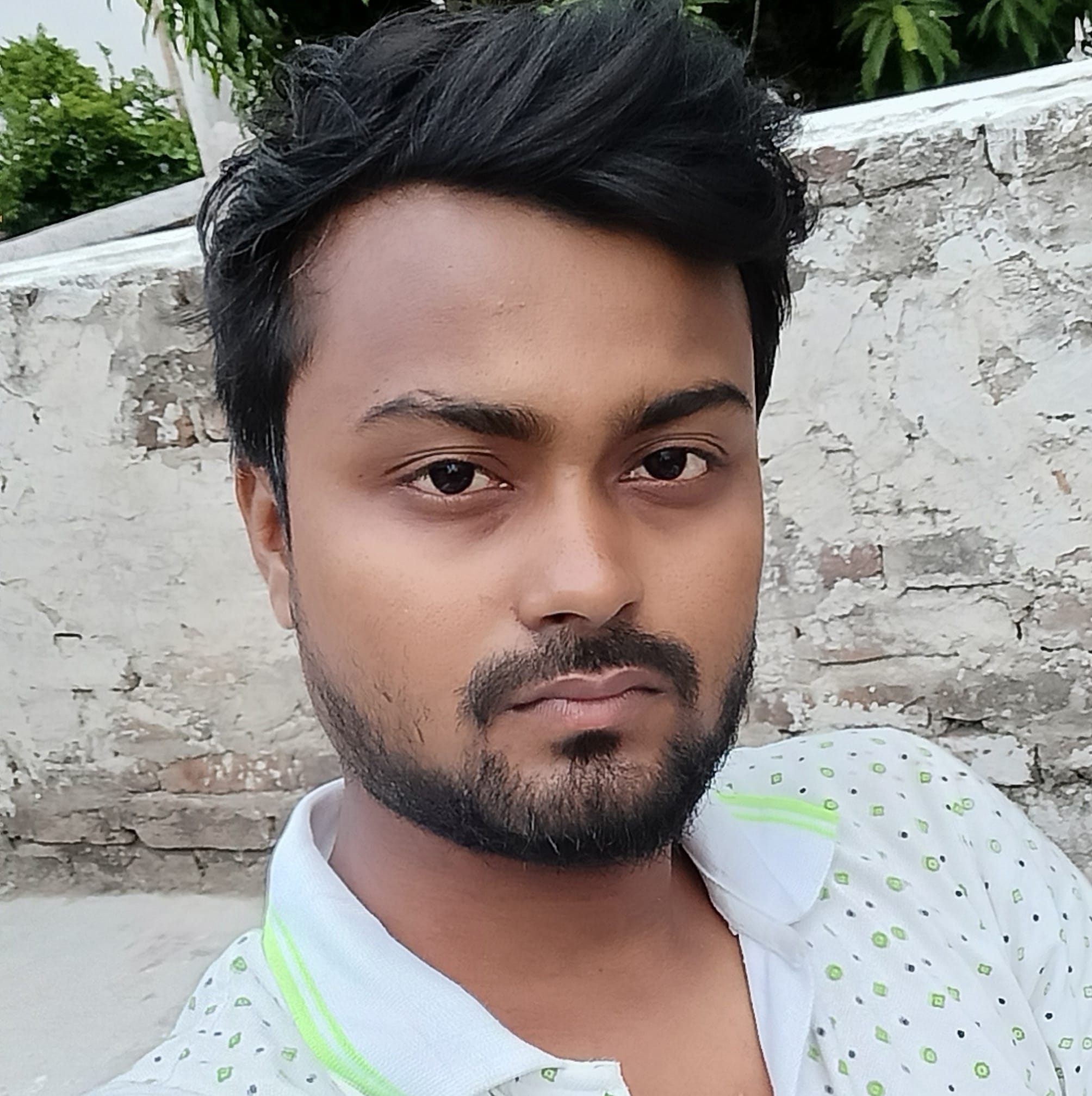 Jawed ansari