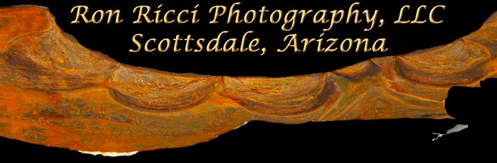 Ron Ricci Photography updated... - Ron Ricci Photography | Facebook