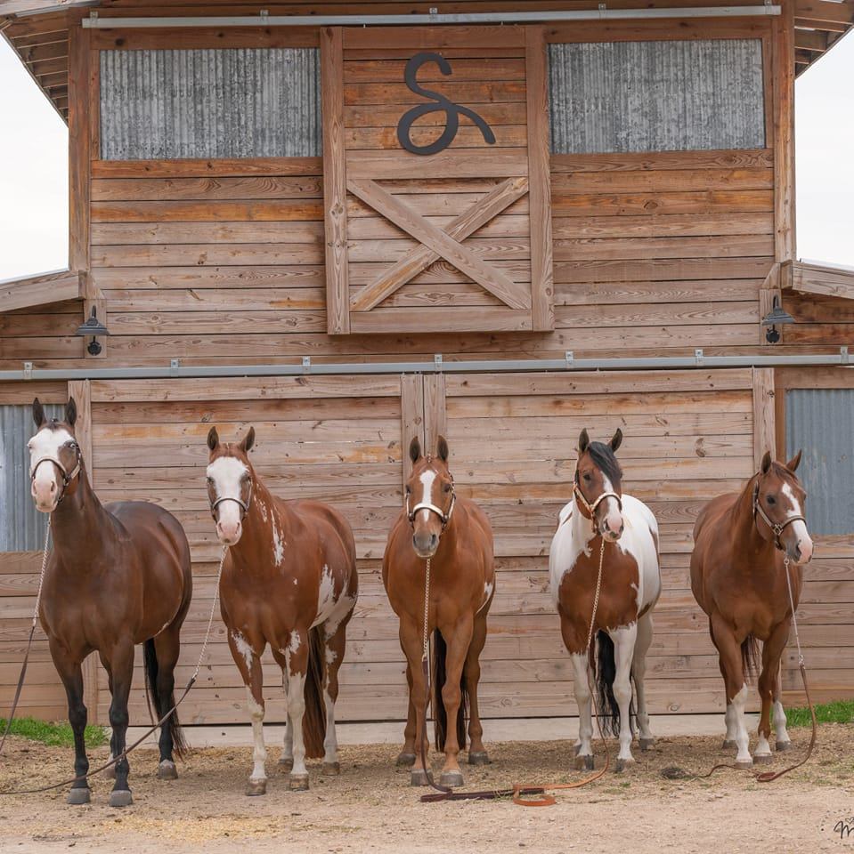 Bent River Forge & Farrier