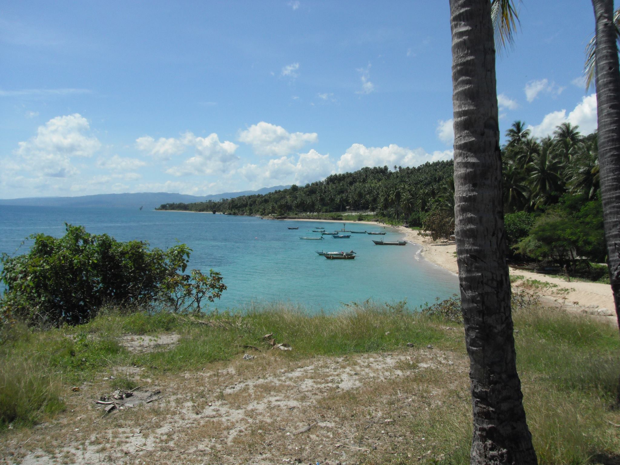 Friends of Timor-Leste - NZ