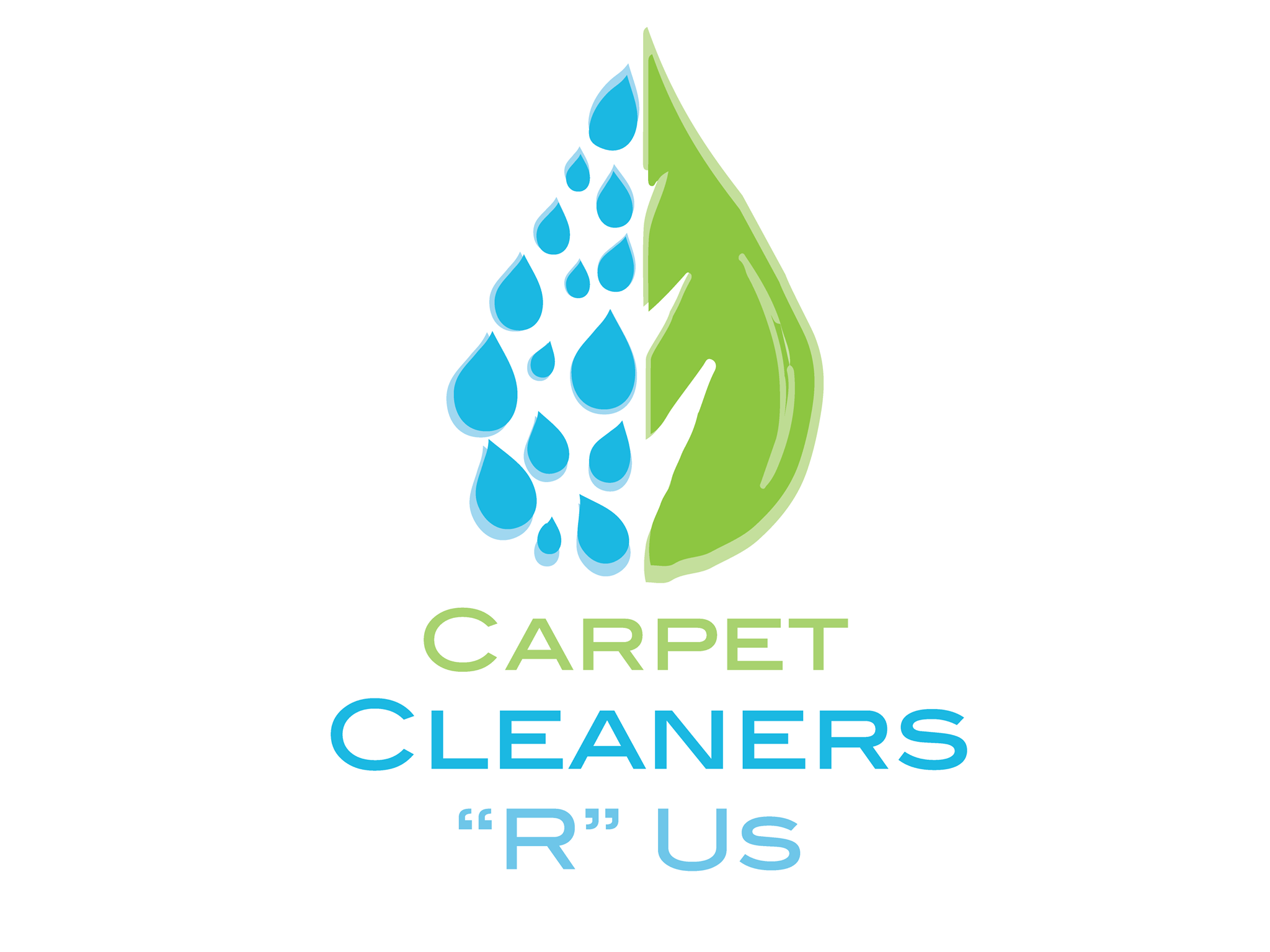 Carpet Cleaners 