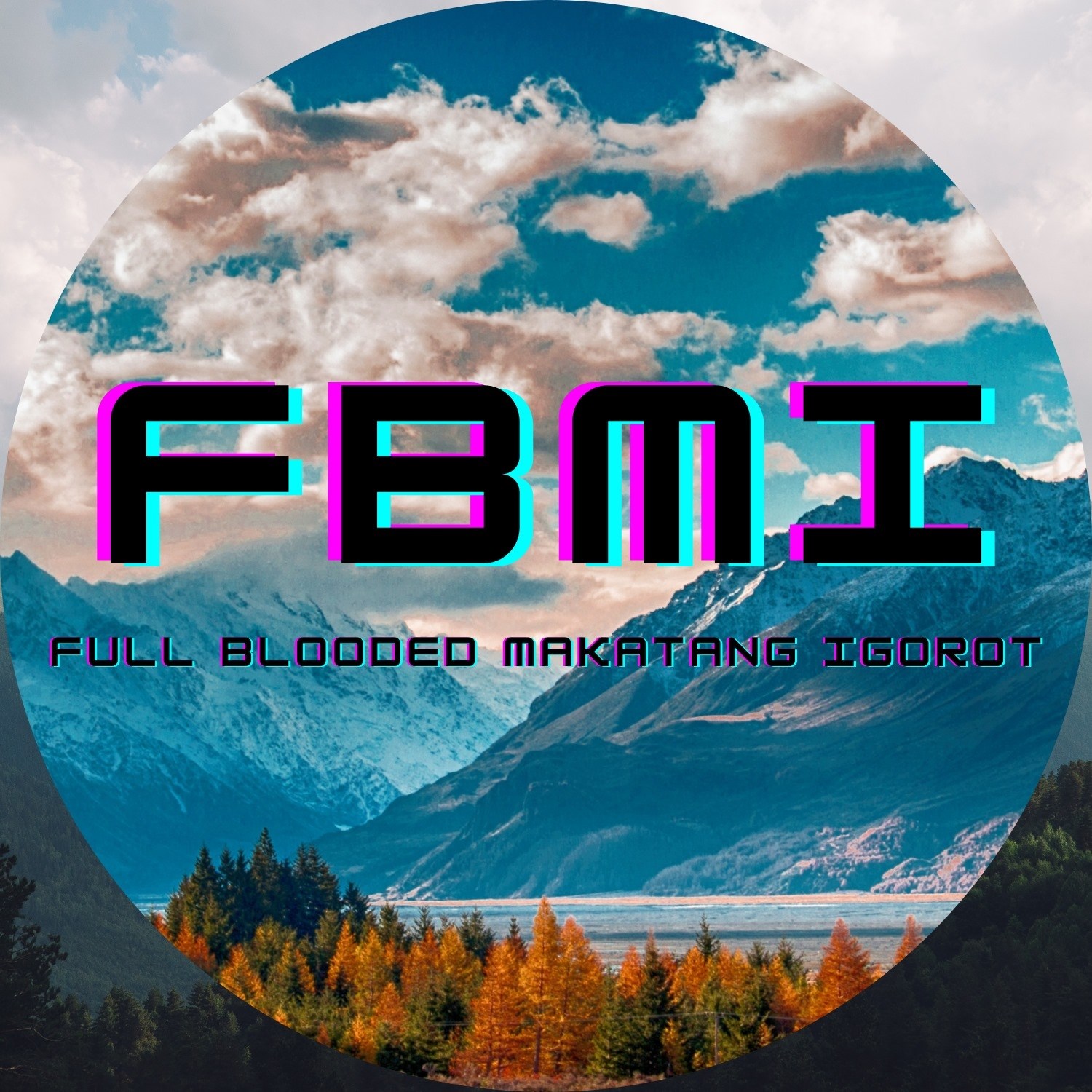 FBMI