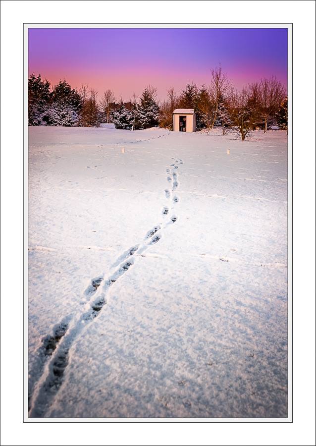 Alan Rossiter Photography