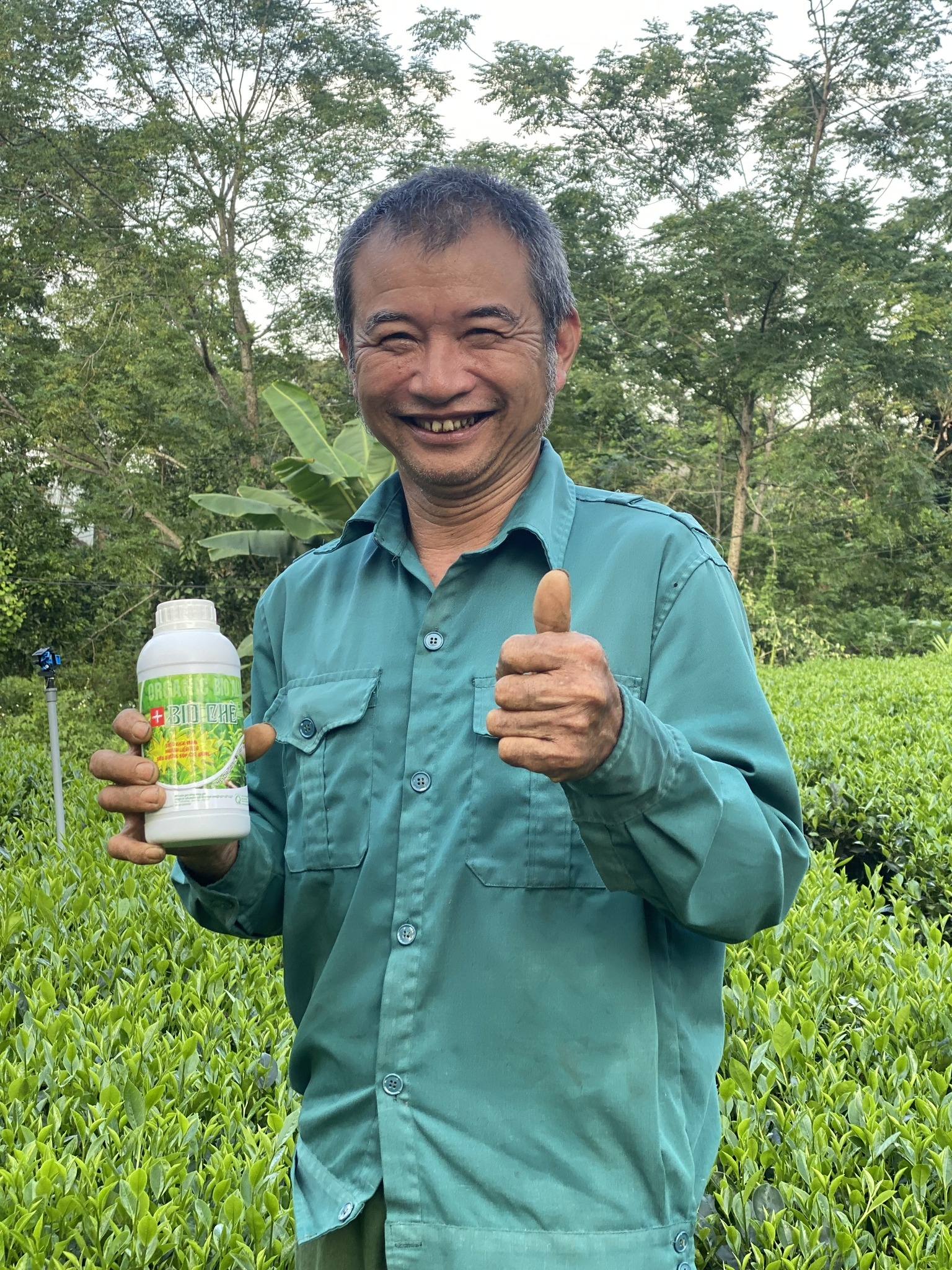 Phân bón hữu cơ Bio Chè