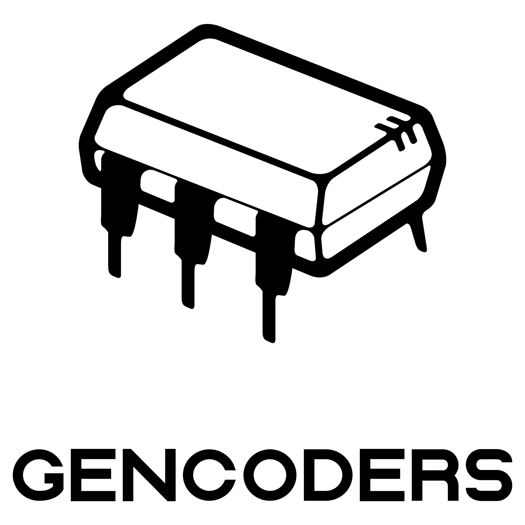 GIGN Solutions - Groupement des Informaticiens Généralistes Nantais