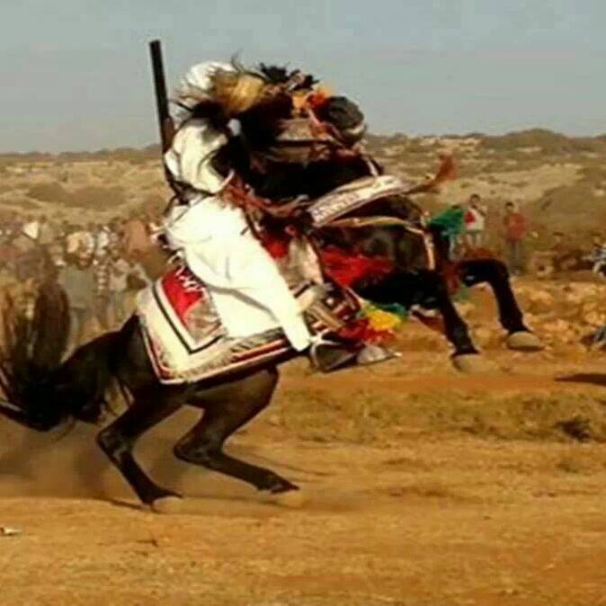 فارس بنغازى صوب خليل فقط