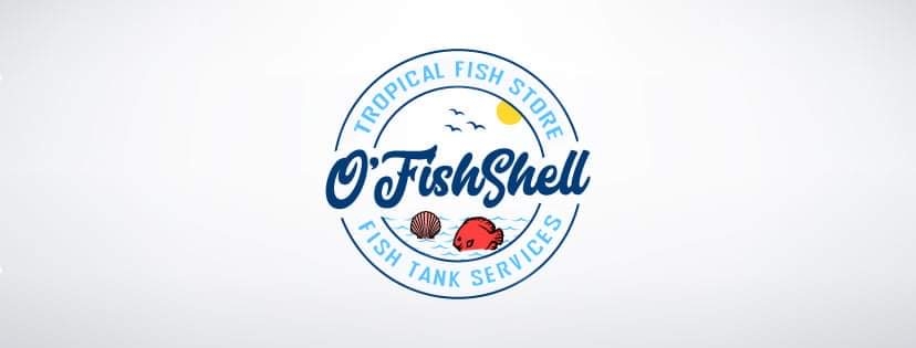 O'FishShell PA - 🐠 BIG THINGS ARE HAPPENING AT OFISHSHELL... | Facebook