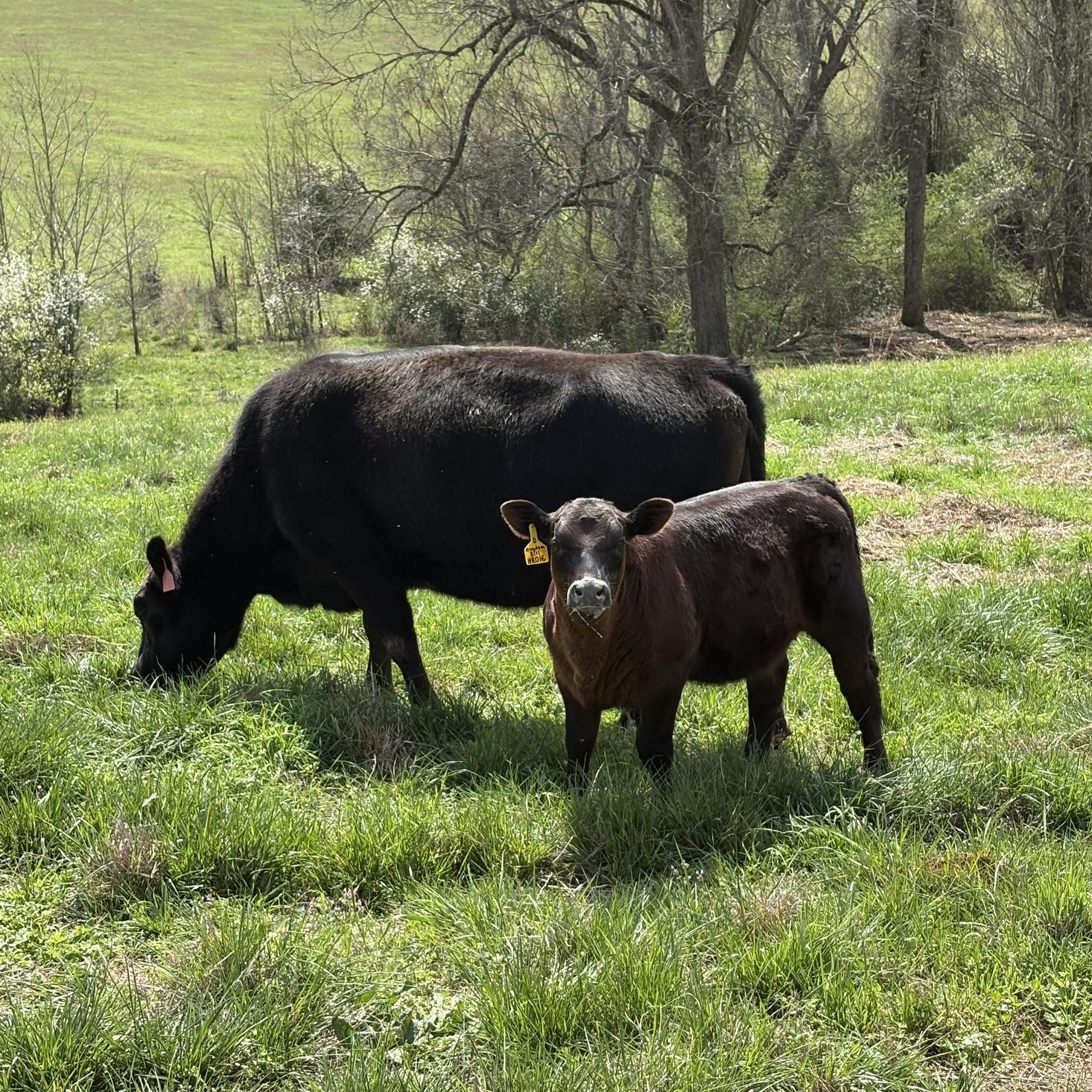 Millarden Farm | Woodbury GA