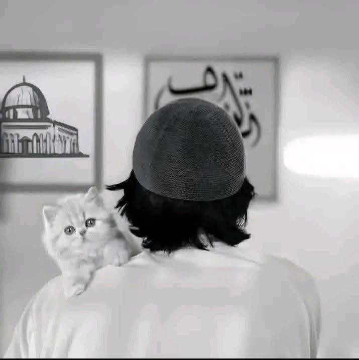 Abu Rafi