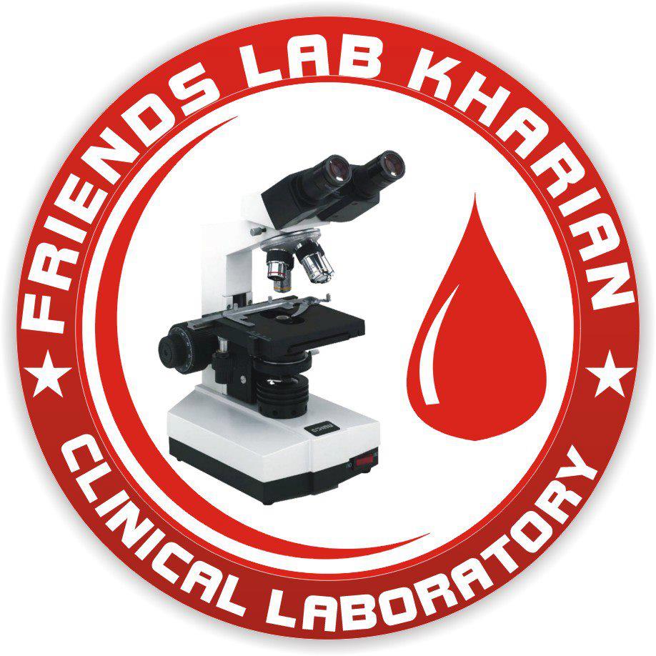 Friends Lab | Kharian