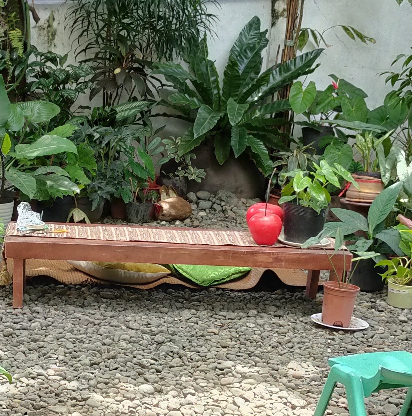 Garden De Tapaz | Tapaz