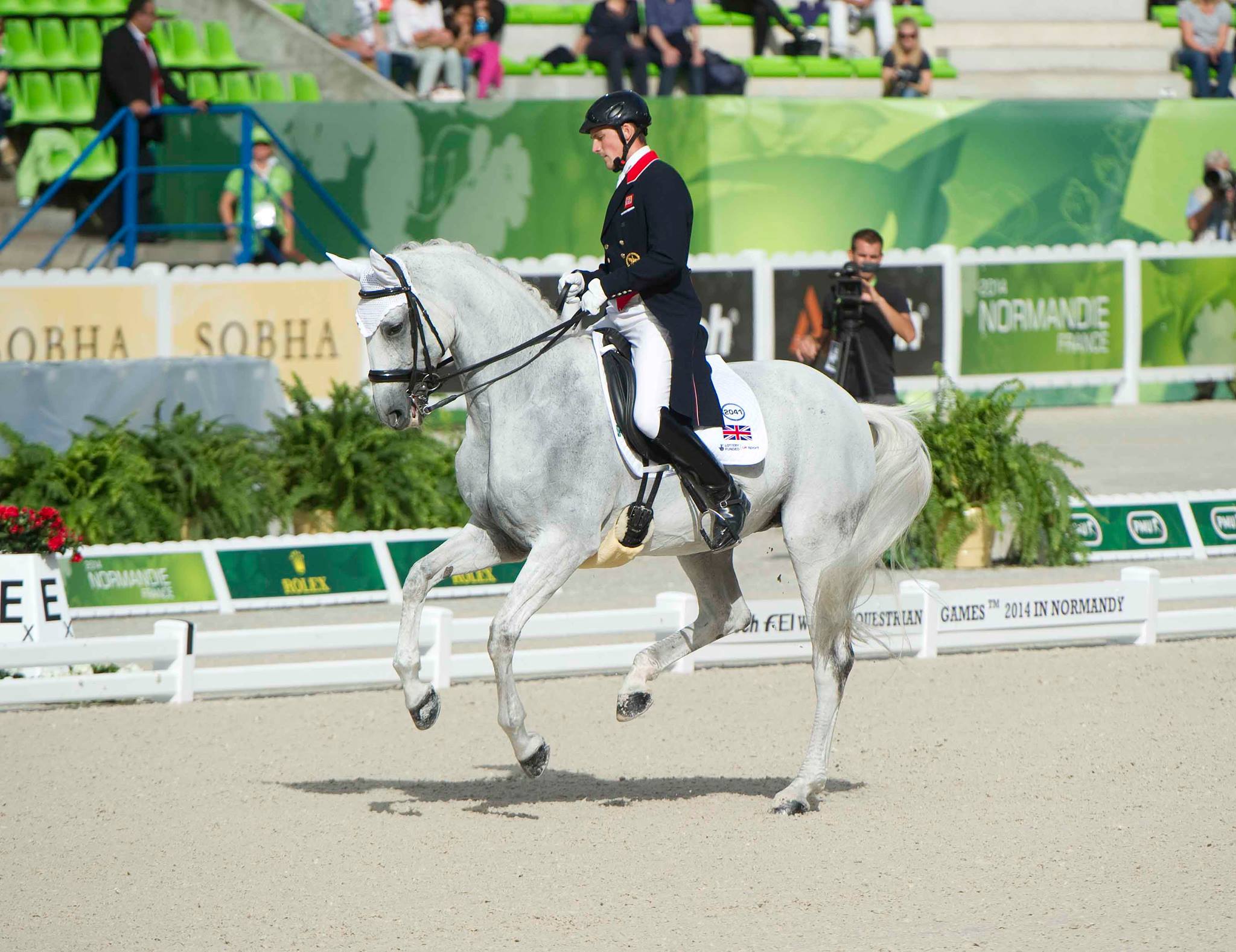 Starlight Equestrian PR | Hastings