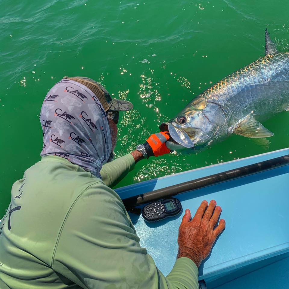 ca richardson mangrove honey fishing lure River Run Manta Hang 10 the BigMakk consistently draws explosive strikes from fish looking to ambush prey on the surface Home page  C.A. Richardson