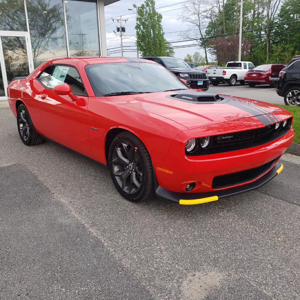 2019 Dodge Challenger R/T Shaker Raffle - Lola is bright eyed and bushy ...