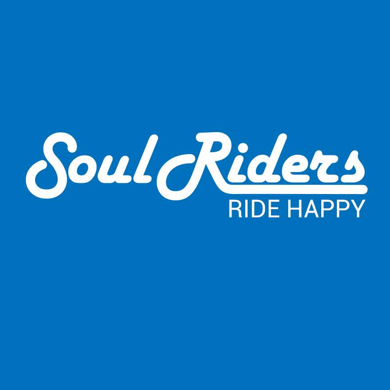 Soul Riders - ***Zu Verkaufen*** Soul riders Ligth edition -Zustand ...