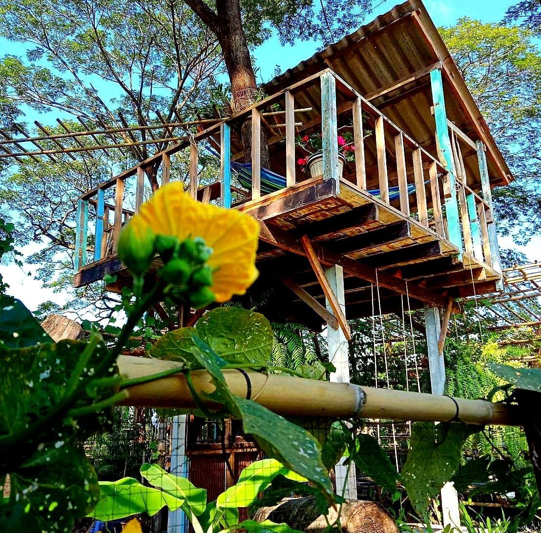 บ้าน คำฤา