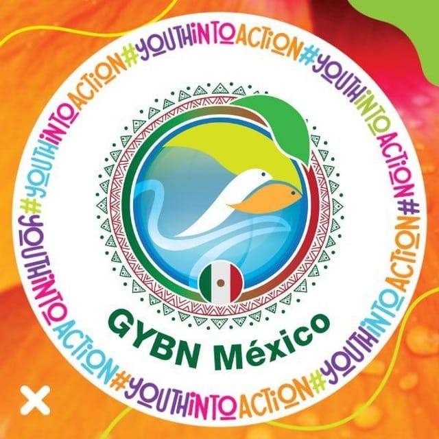 GYBN México