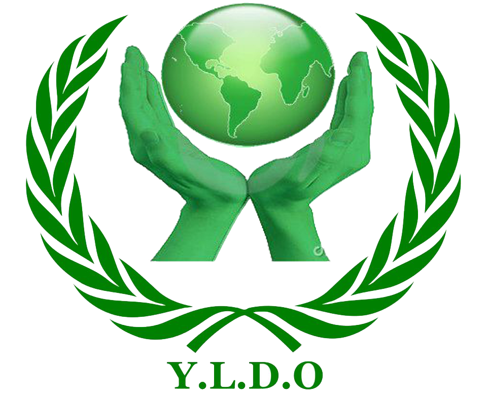 Youth Leadership & Development Organization