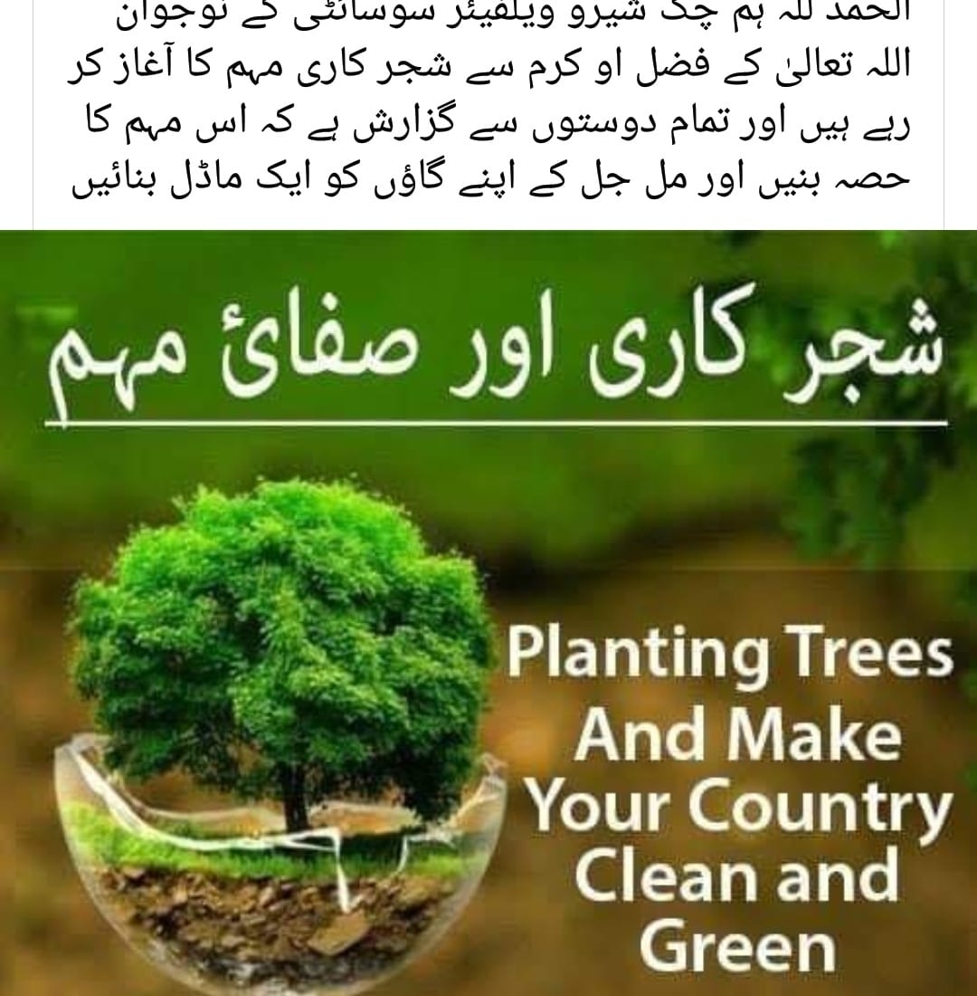 گرین چک شیرو