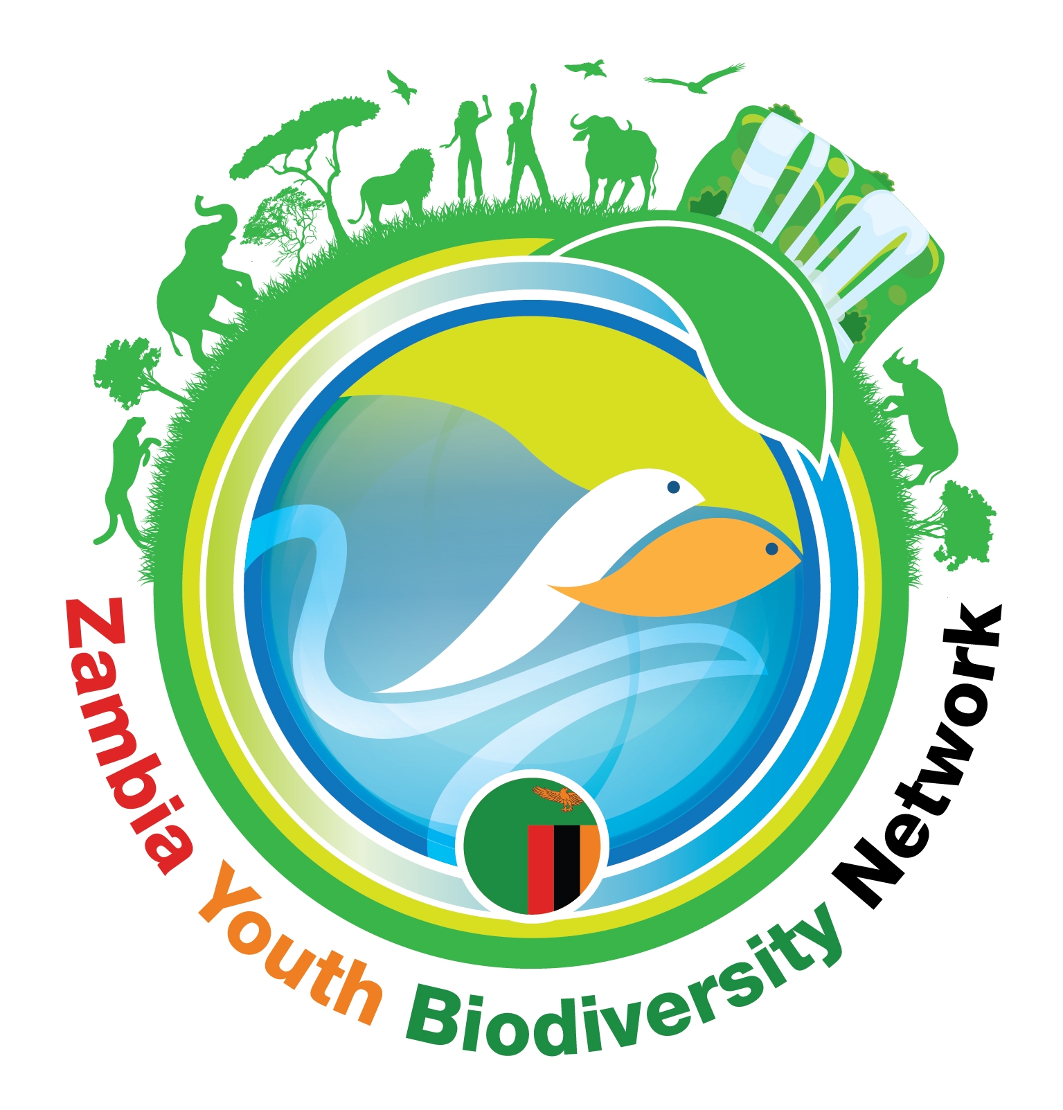 Zambia Youth Biodiversity Network -GYBN Zambia