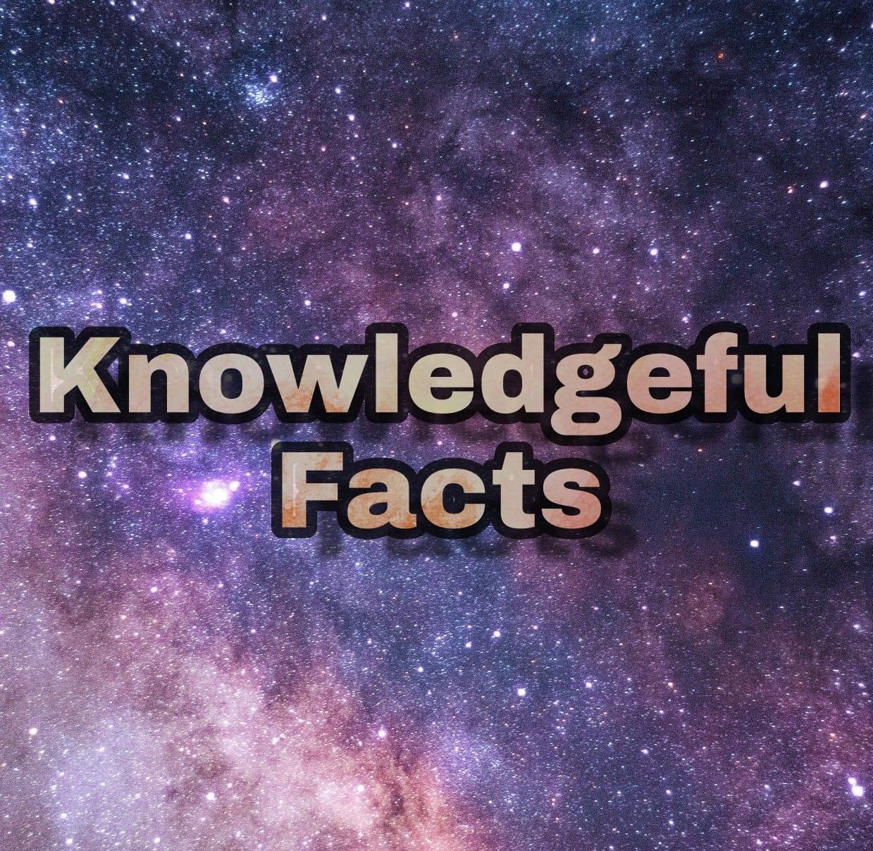 Knowledgeful Facts