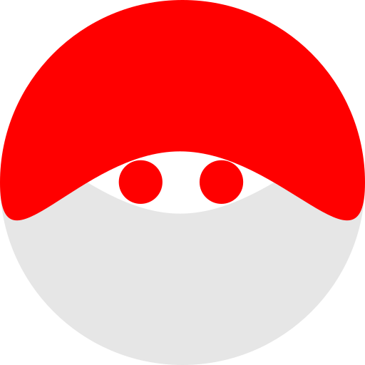 INA Token