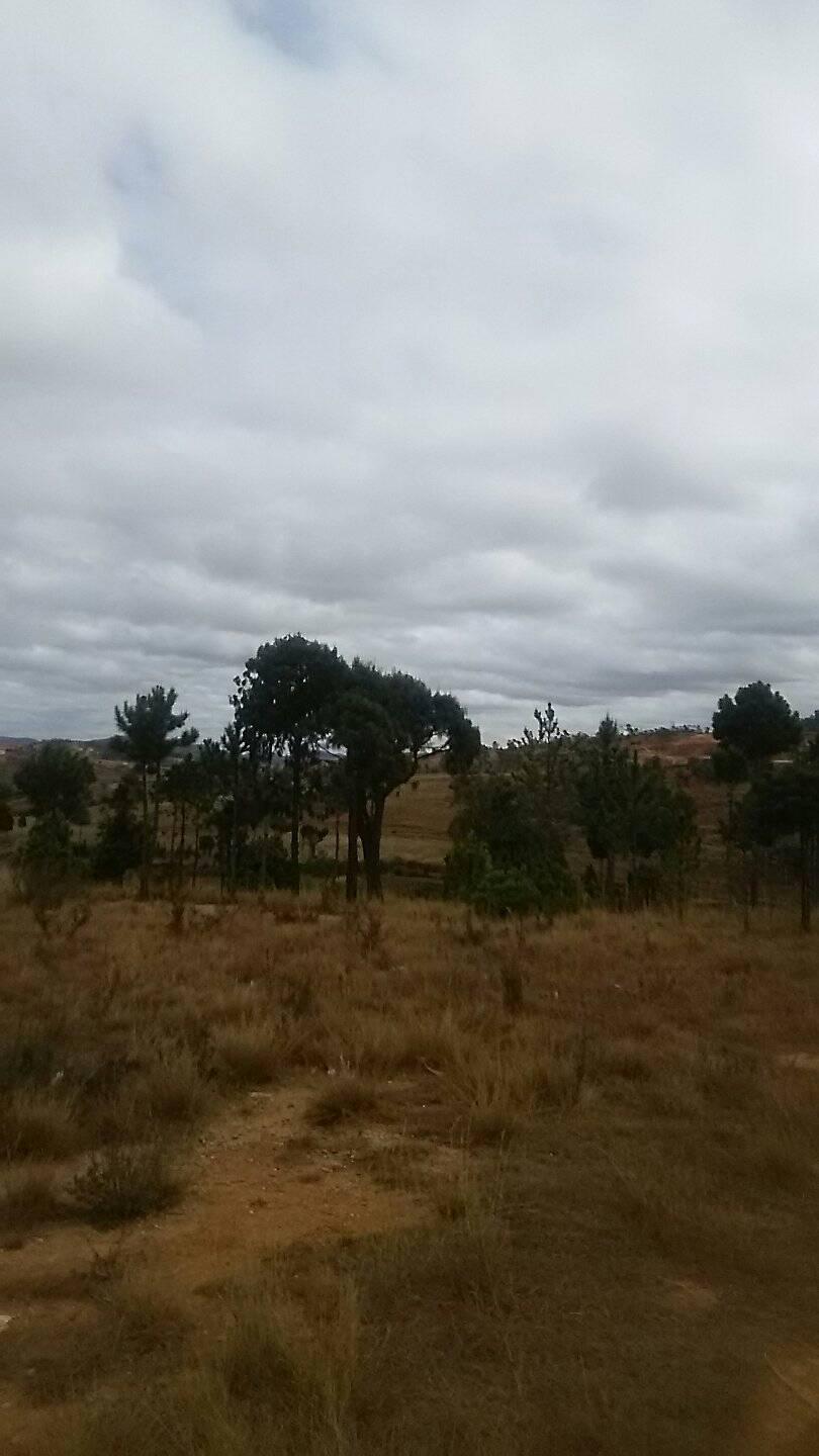 sera-tany-entre-ambatomirahavavy-arivonimamo
