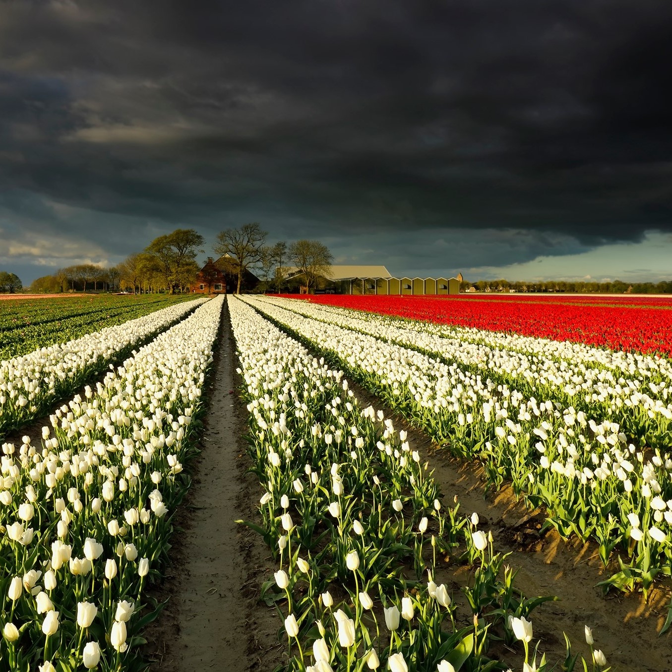 Synergy Income - Synergy Income updated their cover photo.