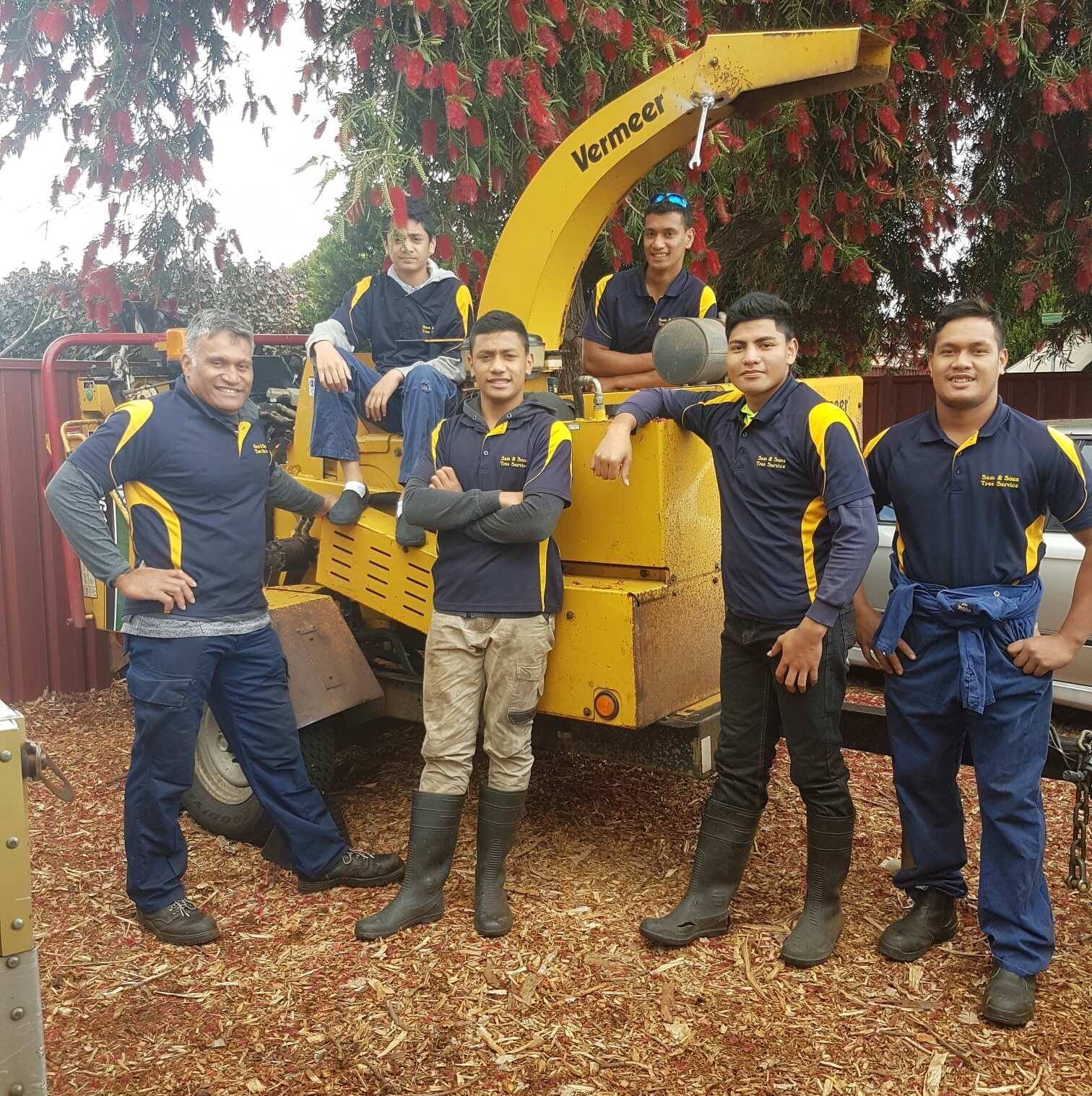 Sam & Son's Tree Services