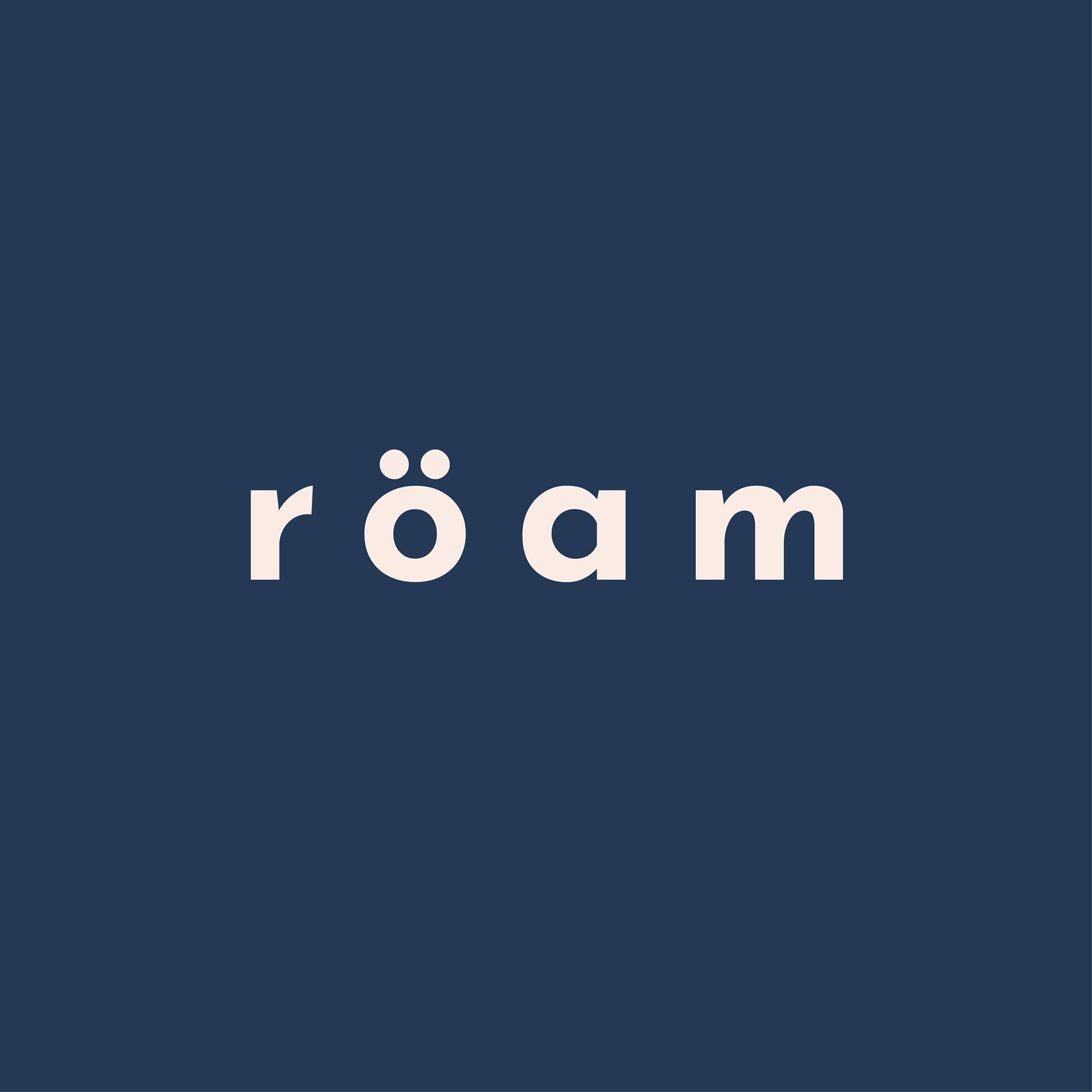 Roam project