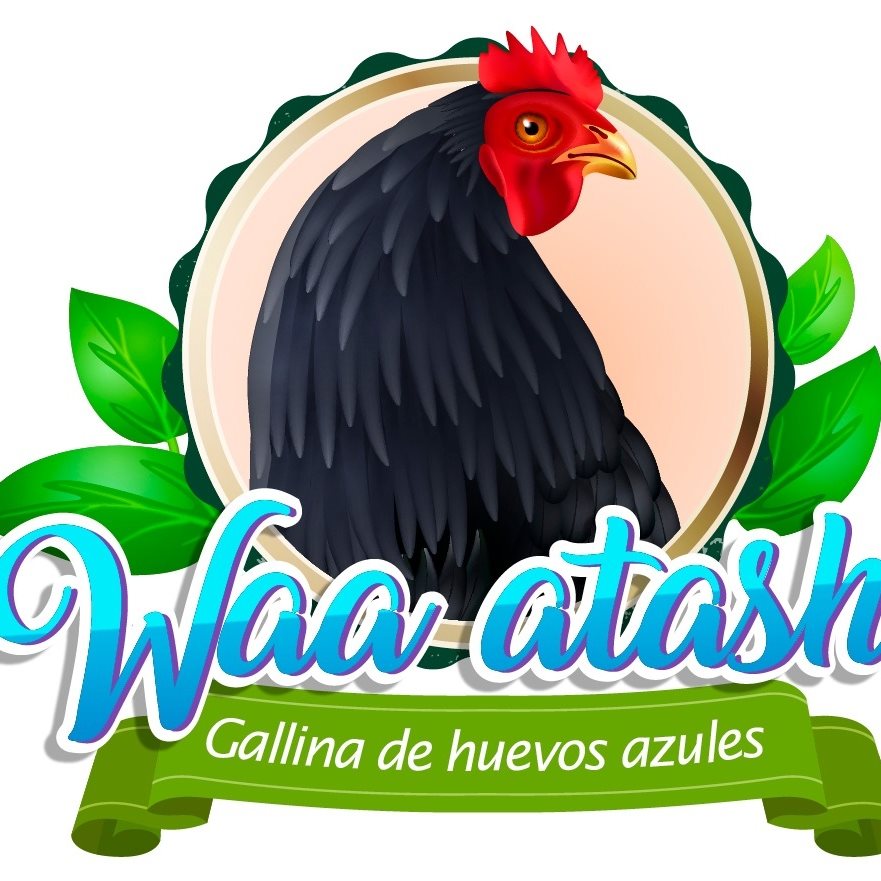 Waa Atash