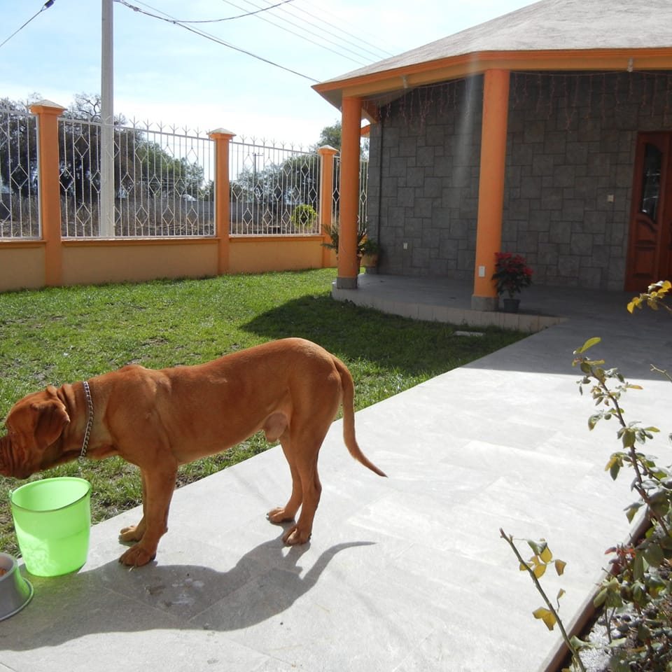 Chelo Reyes Mercado