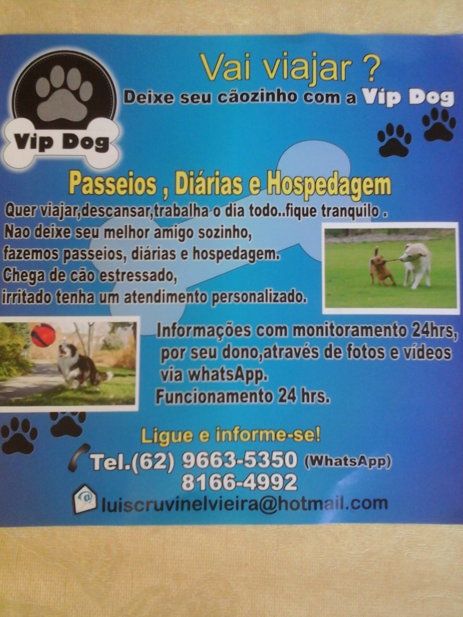 VIP DOG | Goiânia GO