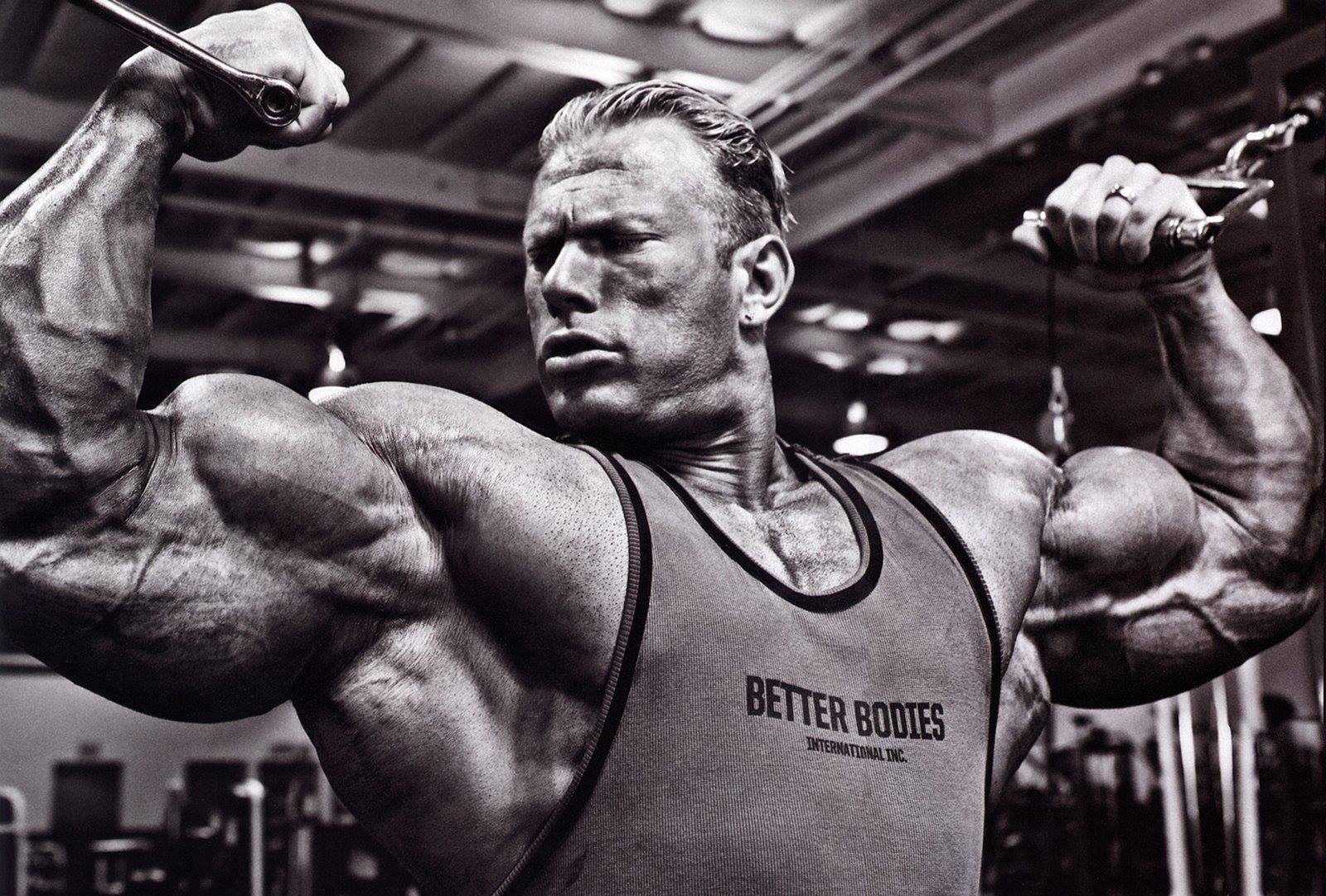 Bodybuilding transformers