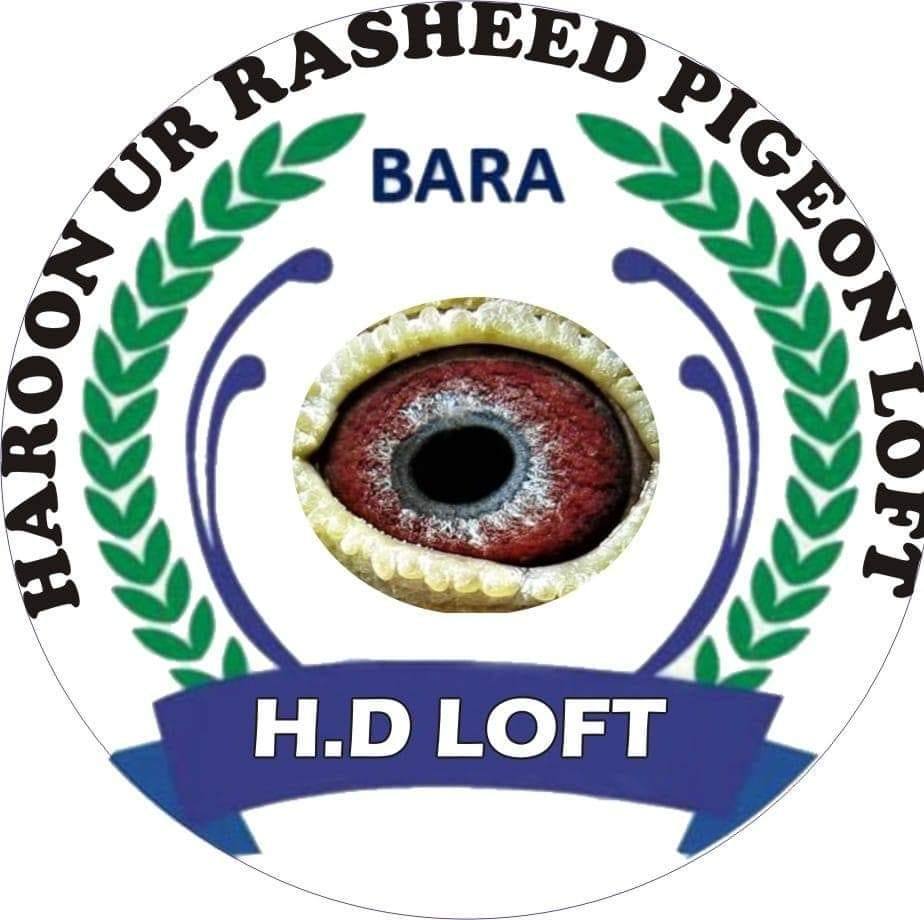 H Rasheed Loft