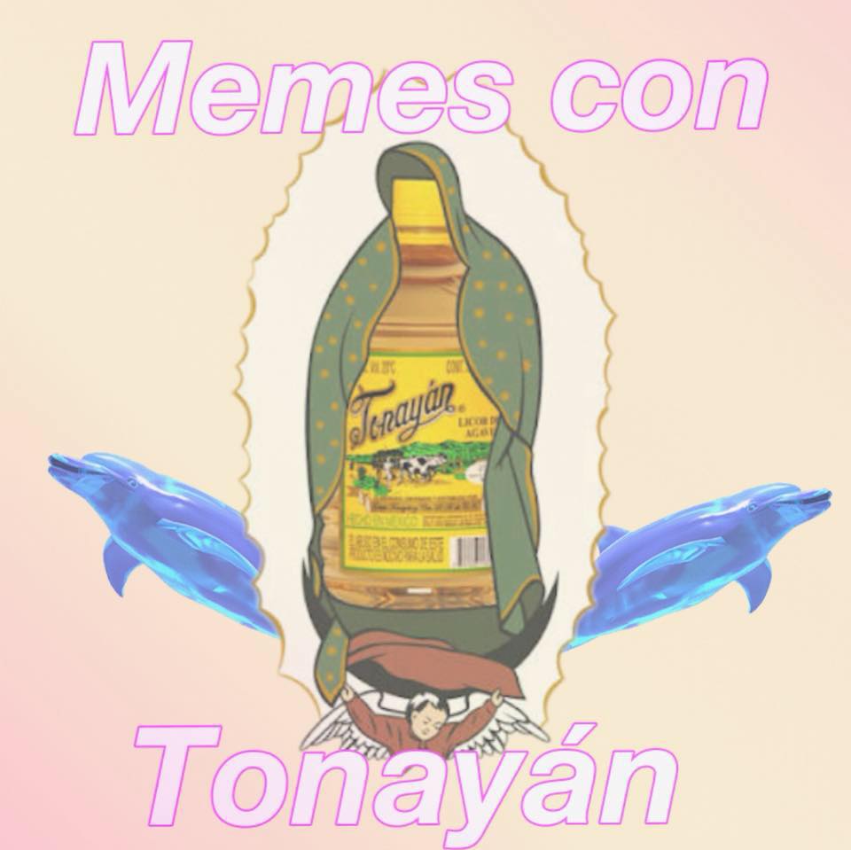 Memes con Tonayán