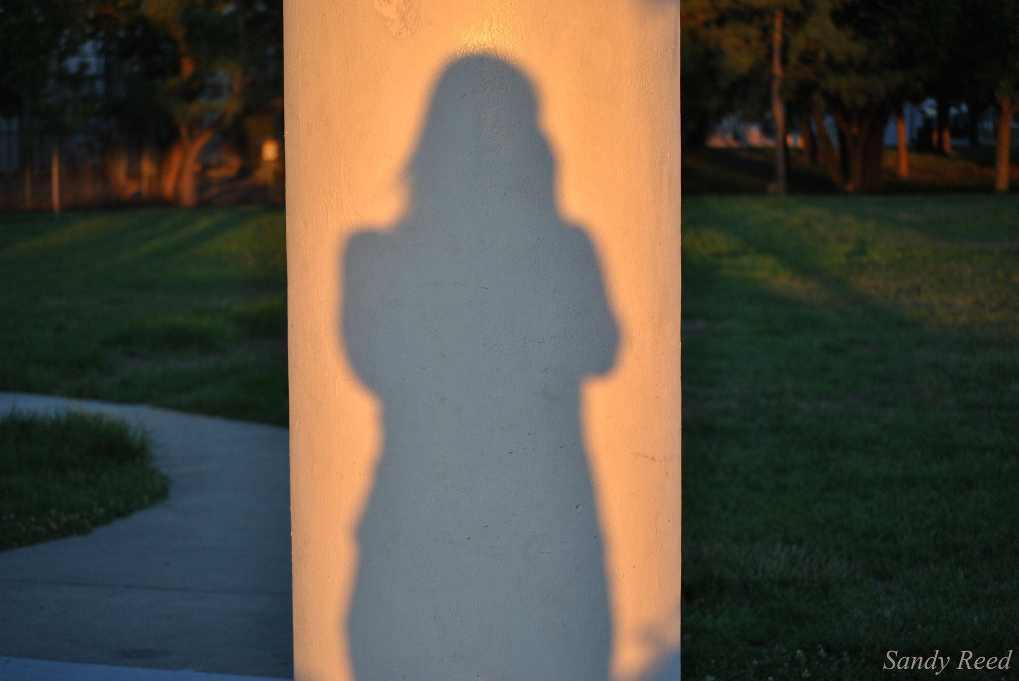 Photos by Sandy Reed