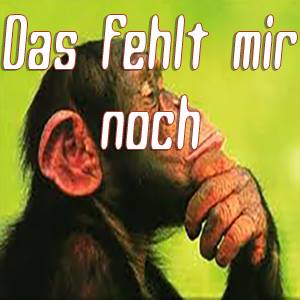 Das fehlt mir noch